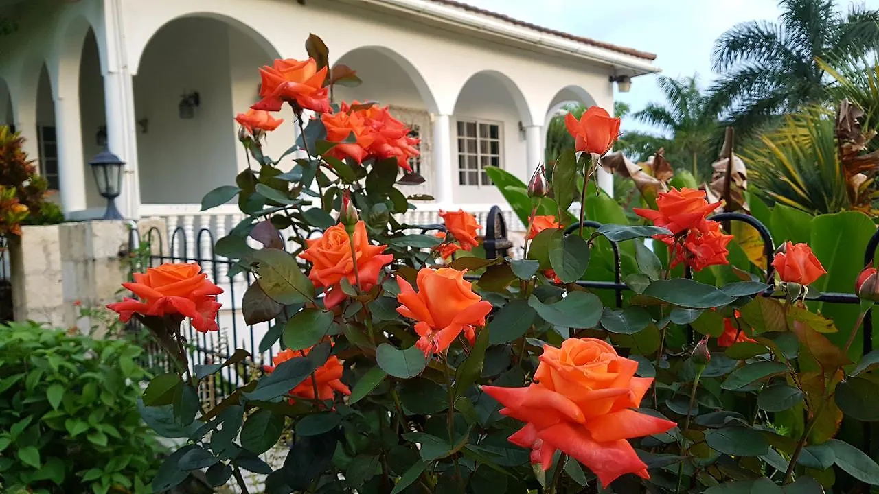 Kro Geddes Great House Hotel Saint Annʼs Bay Jamaica